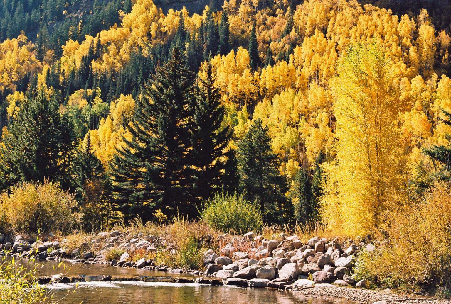 Vail Racquet Club Mountain Resort Extérieur photo